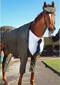 上海金慈實(shí)業(yè)有限公司，丙綸高強(qiáng)絲，丙綸色絲，丙綸中空絲，丙綸異形絲，丙綸夜光紗，高強(qiáng)丙綸絲，丙綸工業(yè)絲，丙綸熒光絲